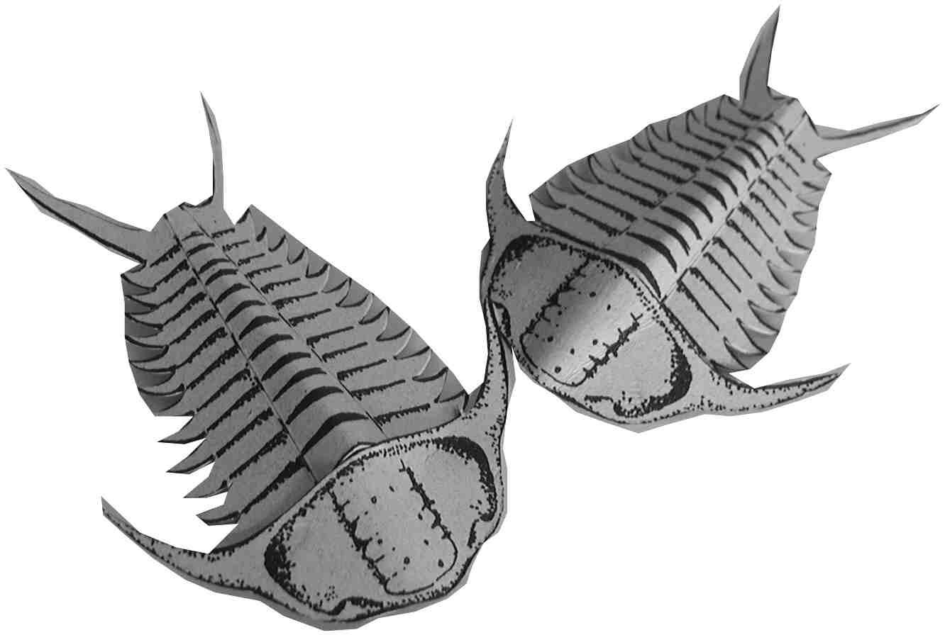 trilobites